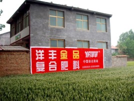  三台如何让墙体广告展现最大化效果