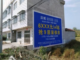  三台墙体广告质量分析